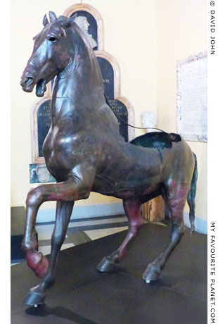 Bronze horse in the Capitoline Museums, Rome at My Favourite Planet