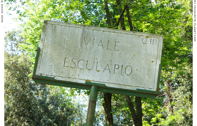 Viale Esculapio, Villa Borghese, Rome at My Favourite Planet