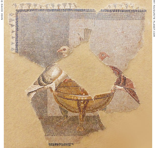A pair of doves on a mosaic from Delos at My Favourite Planet A pair of doves on a mosaic from Delos at My Favourite Planet