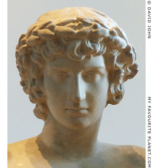 Head of Antinous from the San Ildefonso Group in Dresden at My Favourite Planet Head of Antinous from the San Ildefonso Group in Dresden at My Favourite Planet