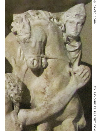 One of the Dioskouri on the corner of a sarcophagus at My Favourite Planet One of the Dioskouri on the corner of a sarcophagus at My Favourite Planet
