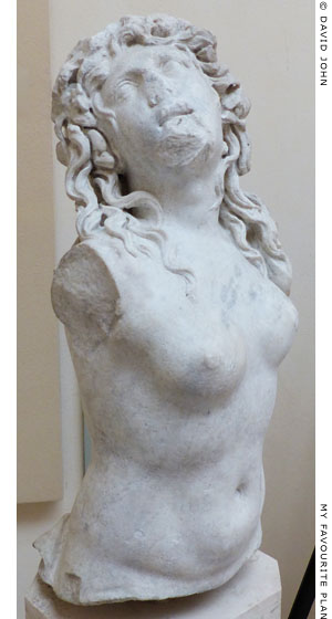 Fragment of a marble staue of Skylla from Ostia at My Favourite Planet Fragment of a marble staue of Skylla from Ostia at My Favourite Planet