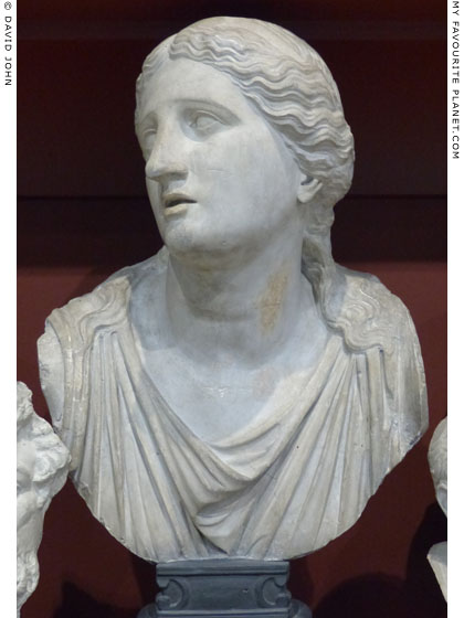 Plaster cast of a marble bust of Niobe in Dresden at My Favourite Planet