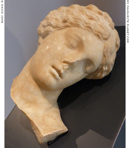 A marble head of a sleeping or dead girl, perhaps depicting a Niobid at My Favourite Planet
